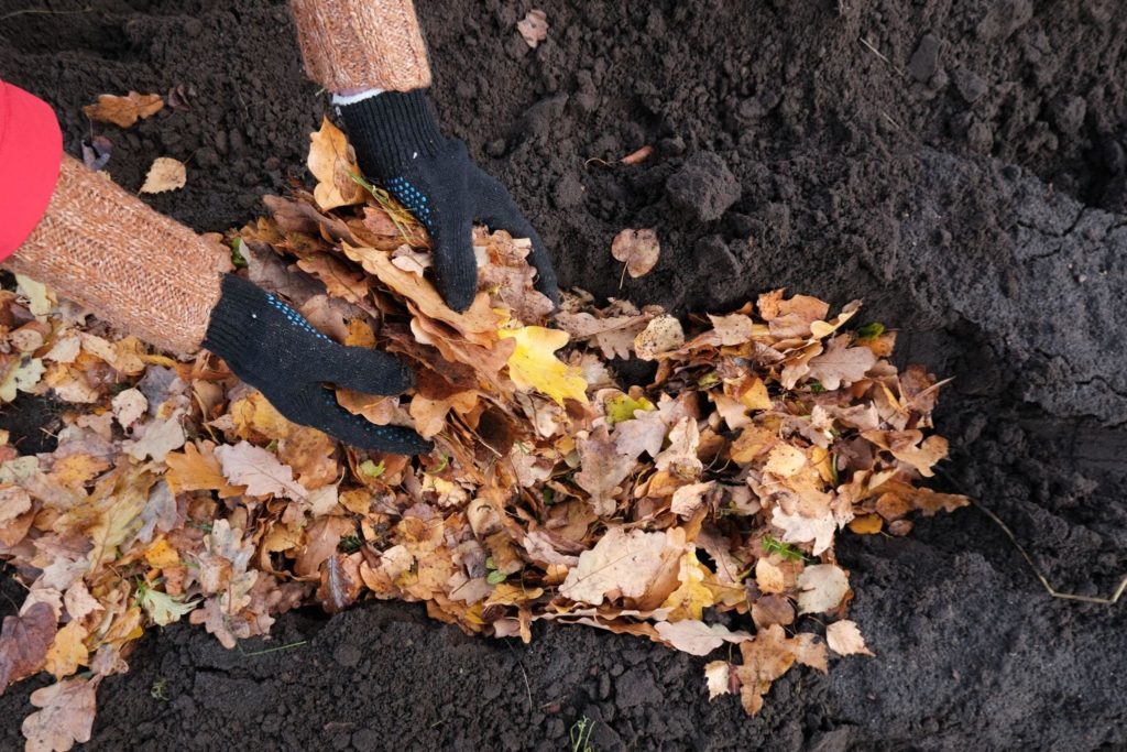 Automne au jardin : faire un terreau de feuilles mortes