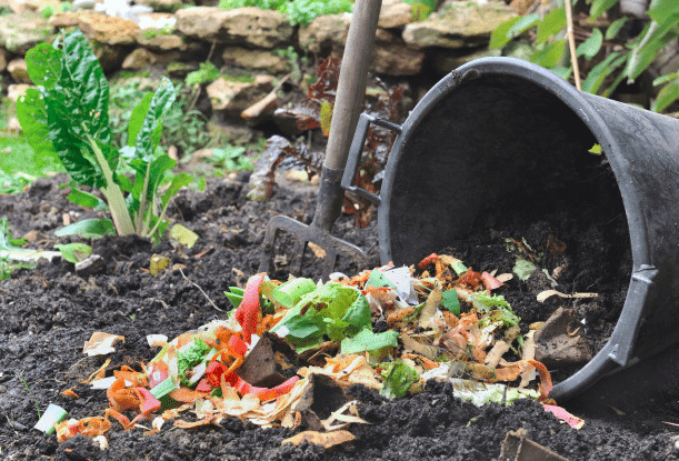 Que faire de ses déchets verts ? Du paillage ! – Smicval